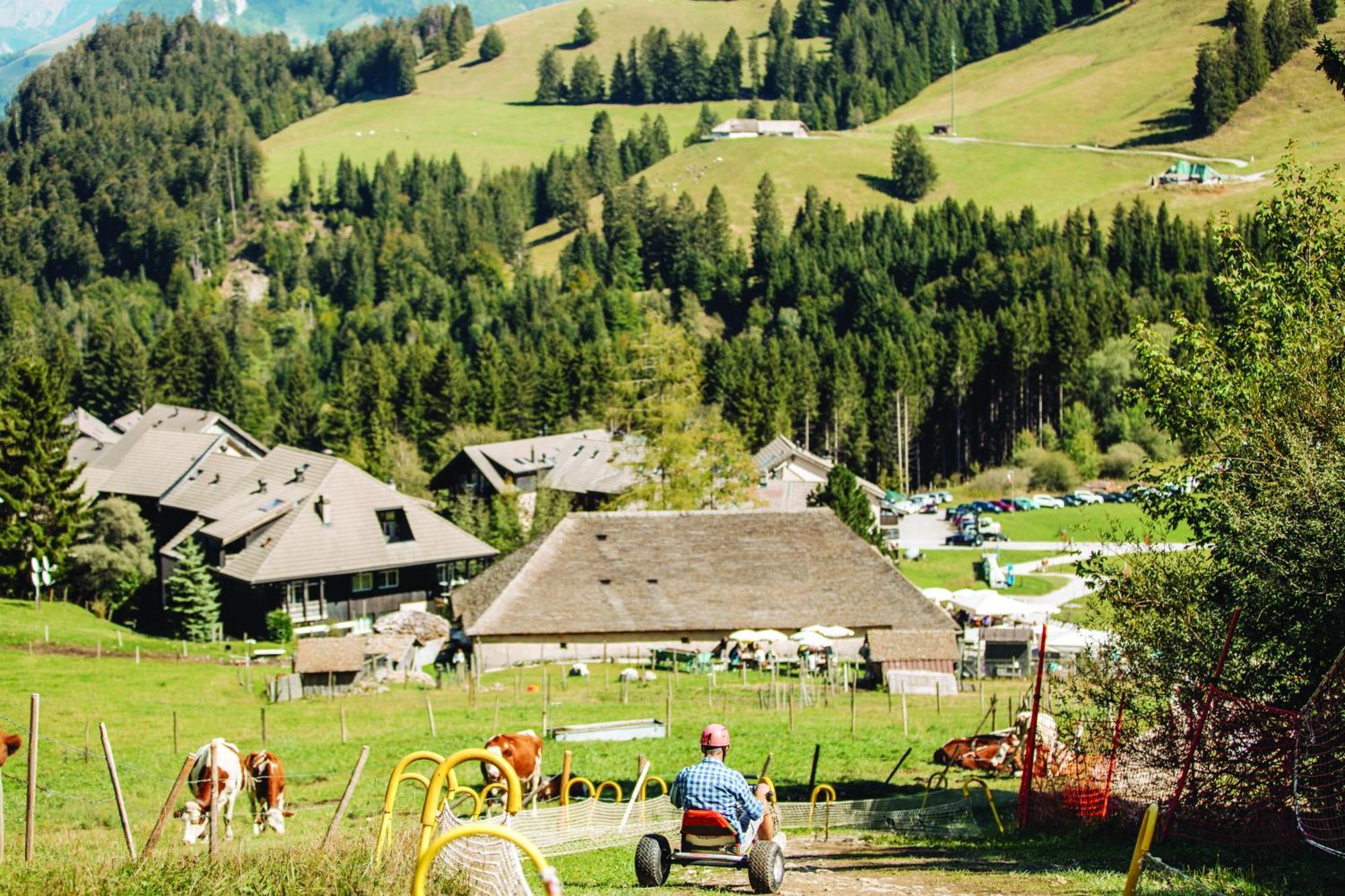 La Pierre A Catillon Moleson Kültér fotó