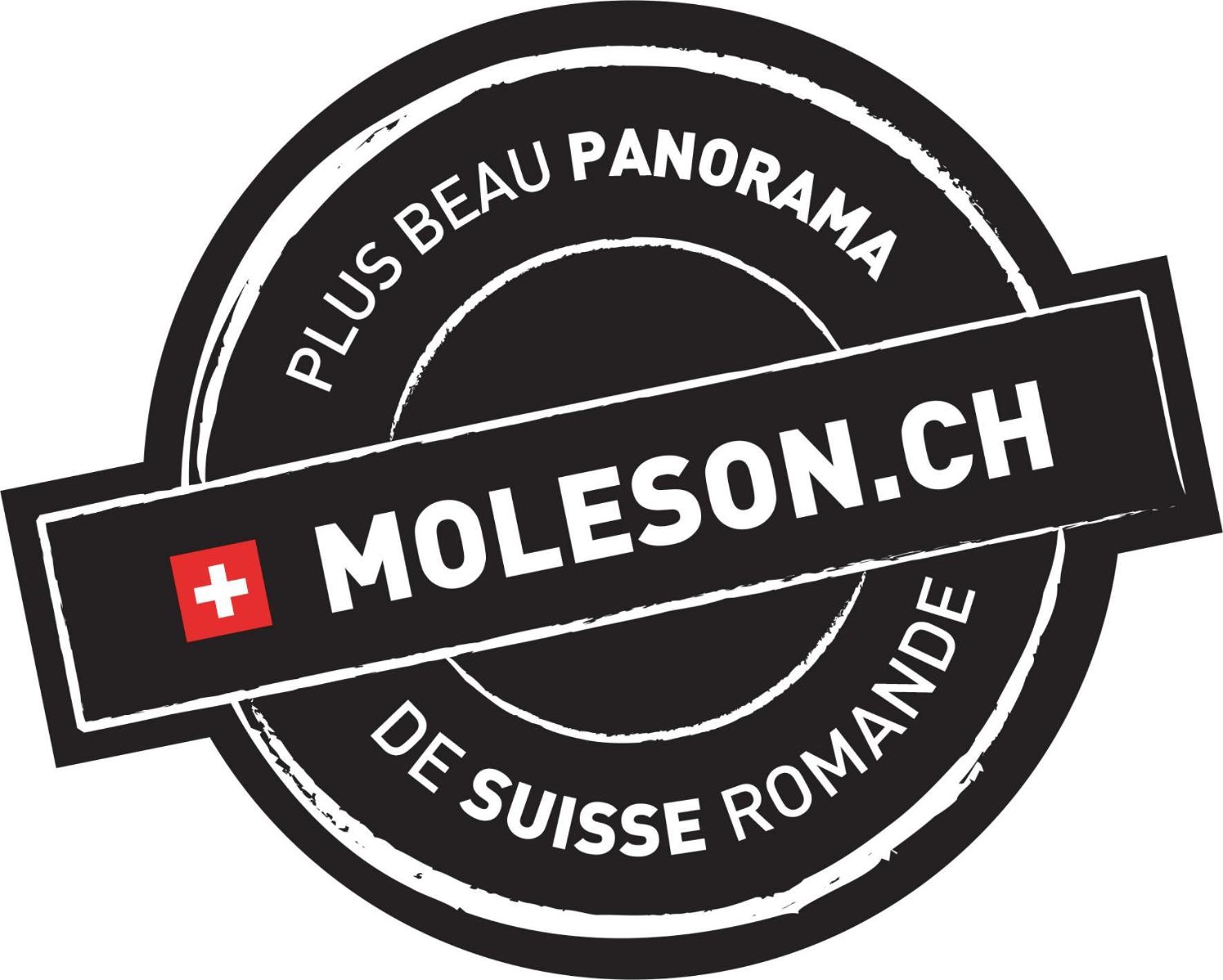La Pierre A Catillon Moleson Kültér fotó